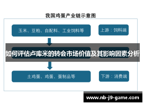 如何评估卢库米的转会市场价值及其影响因素分析