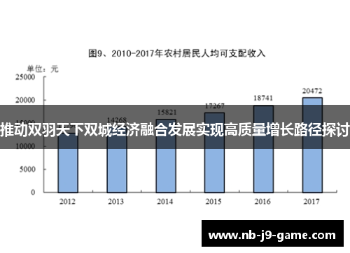 推动双羽天下双城经济融合发展实现高质量增长路径探讨