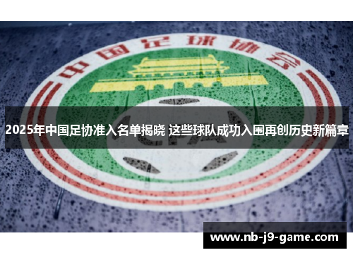 2025年中国足协准入名单揭晓 这些球队成功入围再创历史新篇章