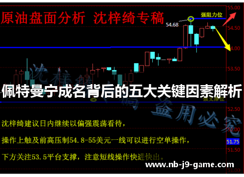 佩特曼宁成名背后的五大关键因素解析