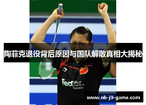 陶菲克退役背后原因与国队解散真相大揭秘