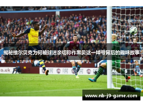 揭秘维尔贝克为何被球迷亲切称作黑贝这一绰号背后的趣味故事 揭秘维尔贝克为何被球迷亲切称作黑贝这一绰号背后的趣味故事