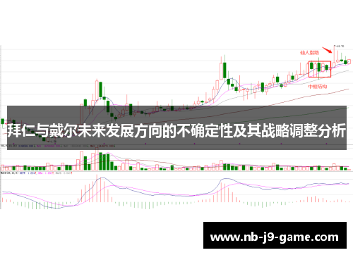 拜仁与戴尔未来发展方向的不确定性及其战略调整分析