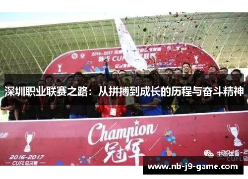 深圳职业联赛之路：从拼搏到成长的历程与奋斗精神