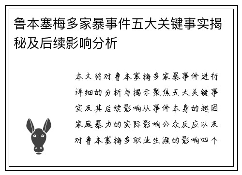鲁本塞梅多家暴事件五大关键事实揭秘及后续影响分析